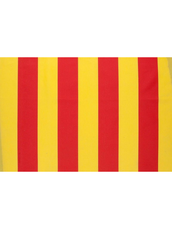 Tela de bandera de Aragon 40cm