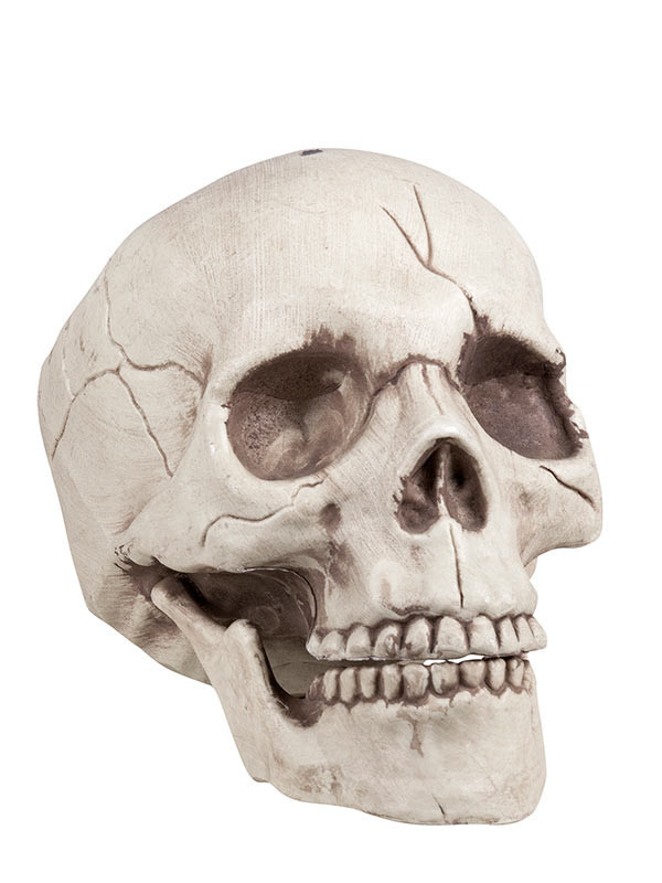 Crâne Tête de Mort Déco