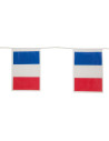 Drapeau France en plastique